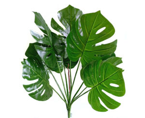 Vara Monstera x 9 Hojas