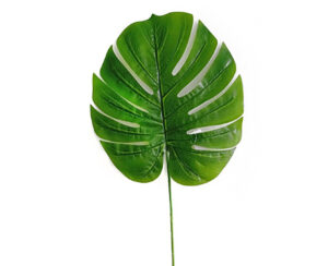 Vara Monstera x 1 93 cm