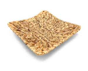 Centro Mesa Mediano 34 x 34 x 10 cm Hoja Platano